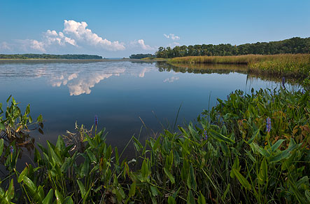 Scenic View of a Bay